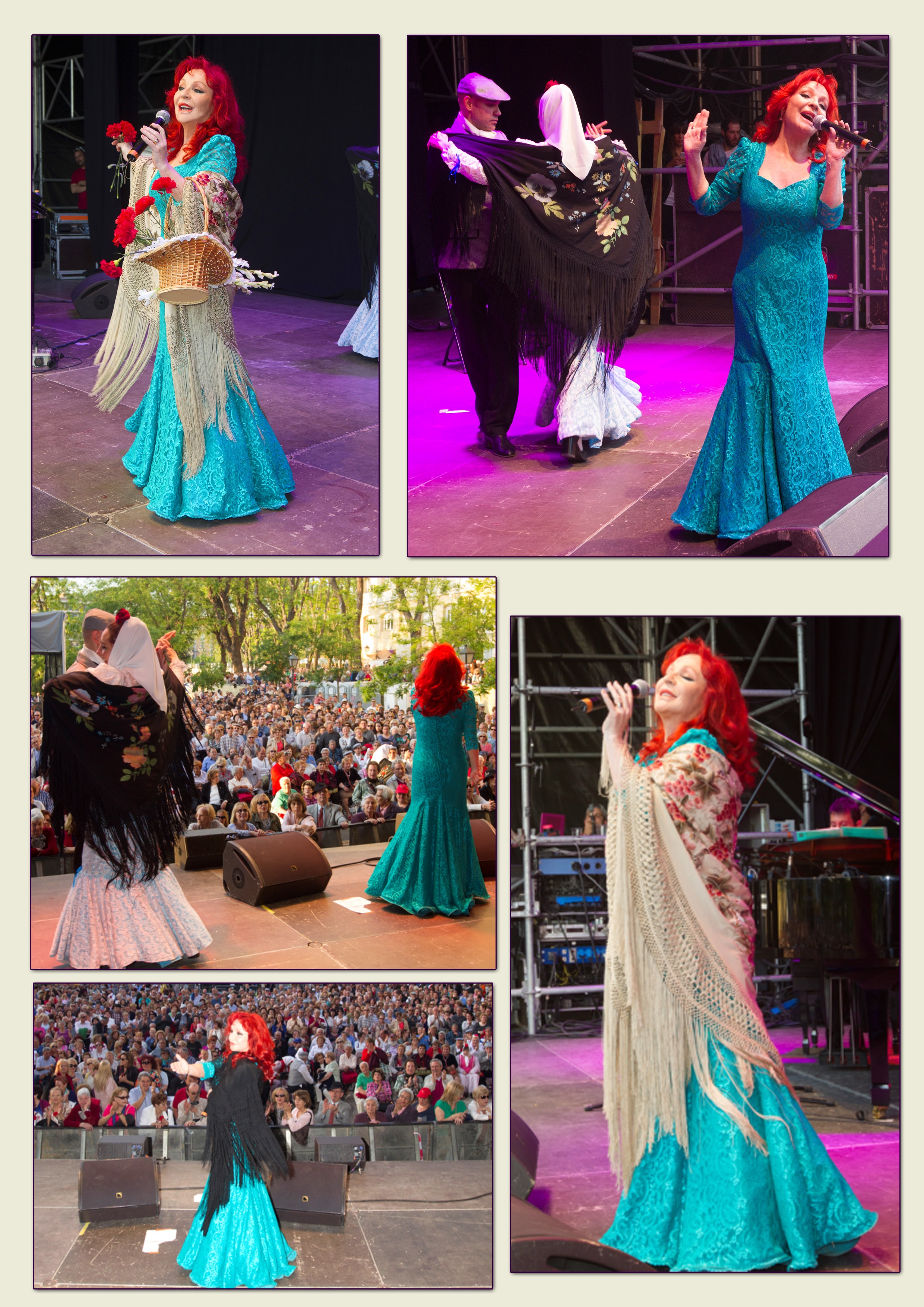 montaje las vistillas